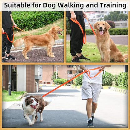 AMAGOOD 6 FT Puppy/Dog Leash, Traditional Style Leash with Easy to Use Collar Hook, Great for Small, Medium and Large Dogs (3/4 in x 6 ft, Orange)