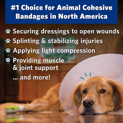 PetFlex Paw Pack – Flexible Self-Adhering Elastic Bandage for Wound Care – First Aid Wrap for Small Animals Like Dogs, Cats, and Other Pets - 2 inch, 6 Rolls