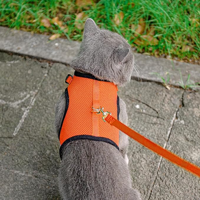 PUPTECK Soft Mesh Cat Vest Harness and Leash Set Puppy Padded Pet Harnesses Escape Proof for Cats Small Dogs Rabbits Bunny