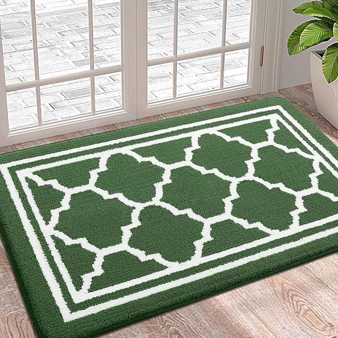 Buganda Indoor Door Mat, Dirt-Resistant and Absorbent Doormat, Anti-Slip, Low Profile Floor Mats for Inside Entryway, Front, and Back Door Entrance (36x24 Inches, Green)