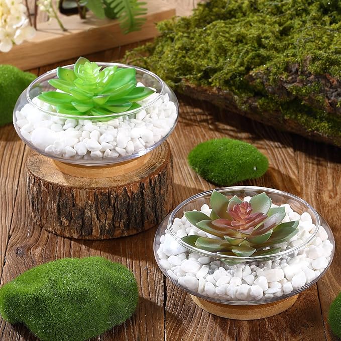 Baderke 4 Sets Glass Planter Bowls for Flowers with Tray 6'' Round Glass Vase Bowl Hydroponic Lotus Planter Pot Propagation Vases Fish Bowl for Plants Indoor Windowsill Kitchen Desktop Wedding Decor