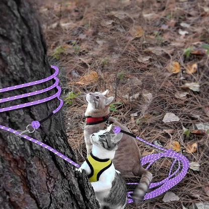 Rypet Reflective Cat Long Leash - 50 FT Escape Proof Walking Leads Yard Long Leash Durable Safe Personalized Extender Leash Traning Play Outdoor for Kitten, Puppy, Rabbit and Small Animals(Purple-L)