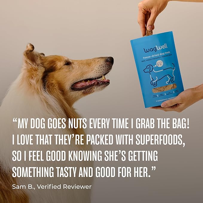 WagWell Freeze-Dried Treats - Beef, Sweet Potato, + Yogurt Recipe - Fully Cooked, High Protein Made in The USA - Minimally Processed & Vet Approved