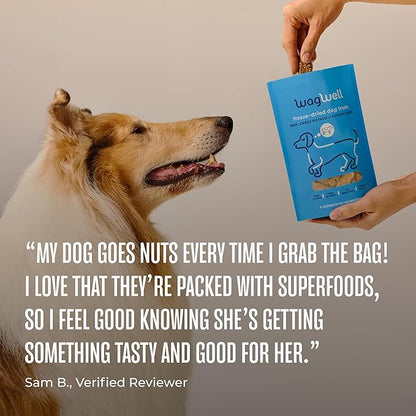 WagWell Freeze-Dried Treats - Beef, Sweet Potato, + Yogurt Recipe - Fully Cooked, High Protein Made in The USA - Minimally Processed & Vet Approved