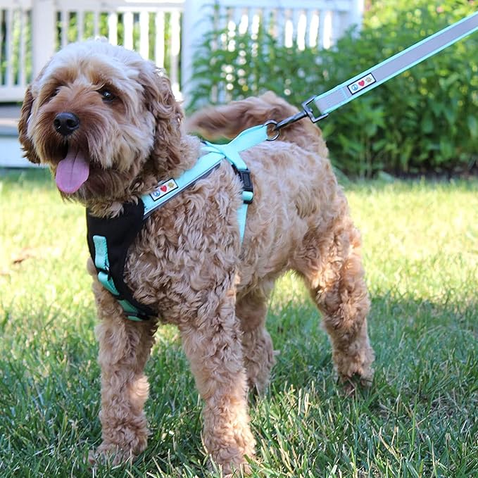 Pawtitas 6 FT Padded Dog Leash with Comfortable Neoprene Padding Handle - Camo Green Lead | Medium Reflective Dog Leash with Highly Reflective Band Perfect for Medium and Large Dogs and Puppies.