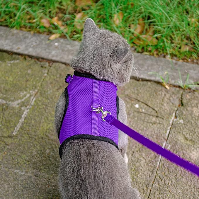 PUPTECK Soft Mesh Cat Vest Harness and Leash Set Puppy Padded Pet Harnesses Escape Proof for Cats Small Dogs Rabbits Bunny