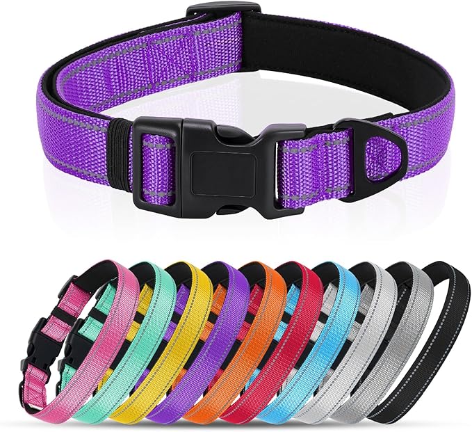 Reflective Dog Collar with Quick Release Buckle - Metal Ring - Adjustable Soft Neoprene Padded Basic Dog Collar for Small Medium Large Dogs (Purple, Medium :Width 1",Neck 13.8-19.6")