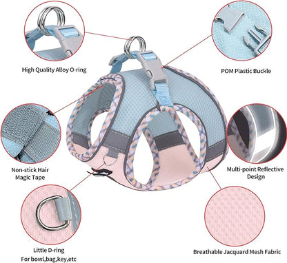 AIITLE Teacup Puppy Harness with Leash - Adjustable Soft Vest with Magic Tape & Reflective Safety Strips, Easy-Put-On for Poodles, Pomeranians - Gym, Hiking, Travel (Blue-Pink, S)
