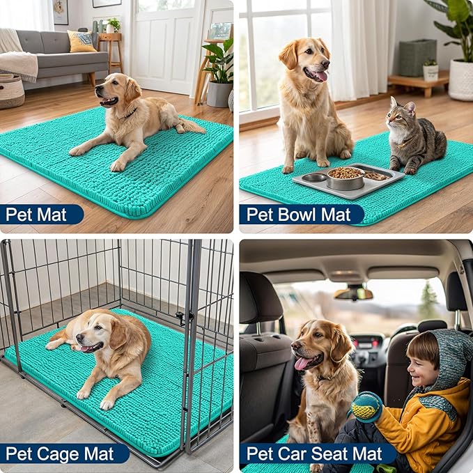 Smiry Dog Door Mat for Muddy Paws 24x16, Absorbs Moisture and Dirt Doormat, Non-Slip Washable Quick Dry Chenille Front Door Mat Indoor Entrance, Entryway Carpet for Inside Floor, Teal