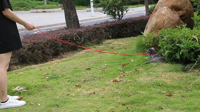 AMAGOOD 6 FT Cat Leash, Strong and Durable Traditional Style Leash with Easy to Use Collar Hook,Cat Lead Great for Cats (3/8 in x 6 ft,Black and Red(2-Pack))