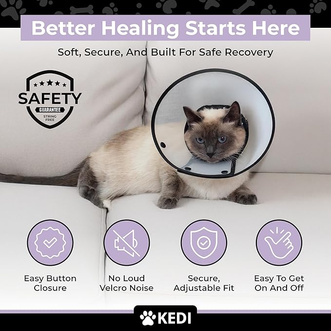 Cat Recovery Cone Kit Post Surgical Soft Pet Vest, Collar, and Non-Irritating Protection Cone for Cats - Comfortable Injury Care Solution (Black, M)