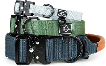 Made to ROAM Premium Explorer Control Collar - Adjustable Heavy Duty Nylon Dog Collar with Quick-Release Metal Buckle and Handle (Colorado Nightsky, Control Size 3)