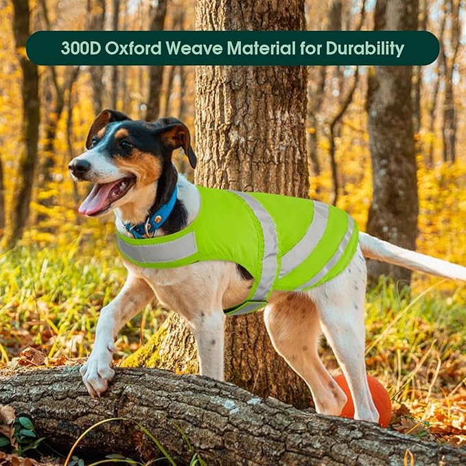Kuoser Reflective Dog Vest, High Visibility Safety Vest for Medium to Large Dogs, Lightweight Pet Reflective Vests for Hunting Outdoor Activities Walking at Night, Fluorescent Green 2XL