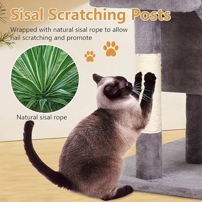 FDW Cat Tree for Indoor Cats 36 Inches Cat Tower Multi-Level Indoor Cat Play Condo House with Scratching Posts, Spacious Perch, Sisal Posts and Dangling Toys (Ashy)