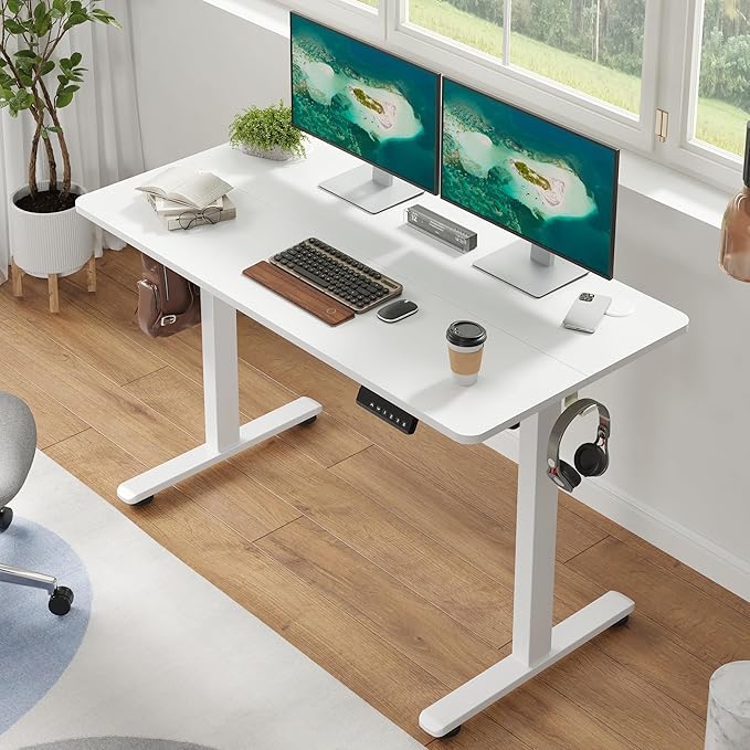 Casaphoria 48 x 24 inches Electric Standing Desk, Sit to Stand Desk with Memory Height Adjustment, Home Office Computer Desk for Writing and Games, White