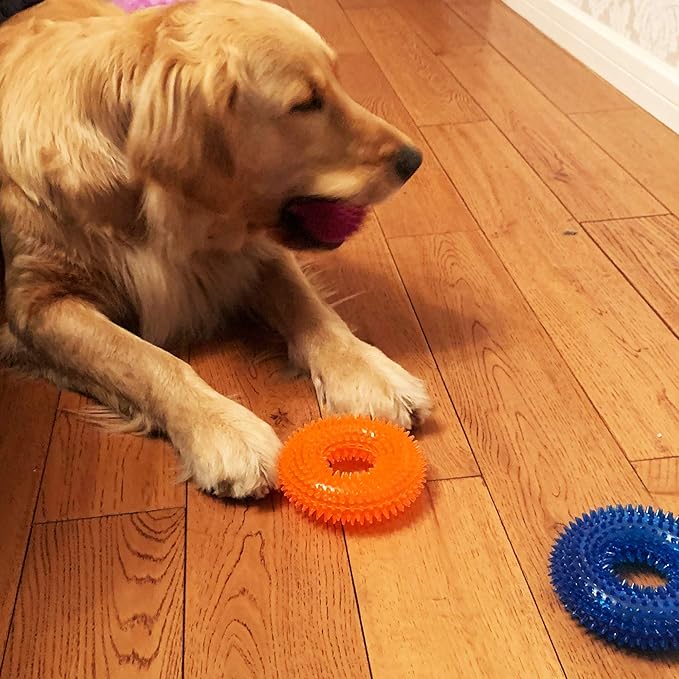 Jalousie Dog Squeaky Toys Value Set Non-Toxic Squeaky Balls Toss Fetch TPR Rubber Puppy Toys Spikey Dog Chew Toy for Small Medium Breed Pet Toys for Puppy (6 Pack Spiky Ball)