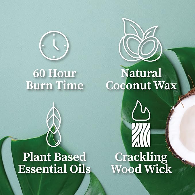 Hemlock Park Crackling Wood Wick Candle Handcrafted with Natural Coconut Wax (Standard 8 oz, Desert Prickly Pear)