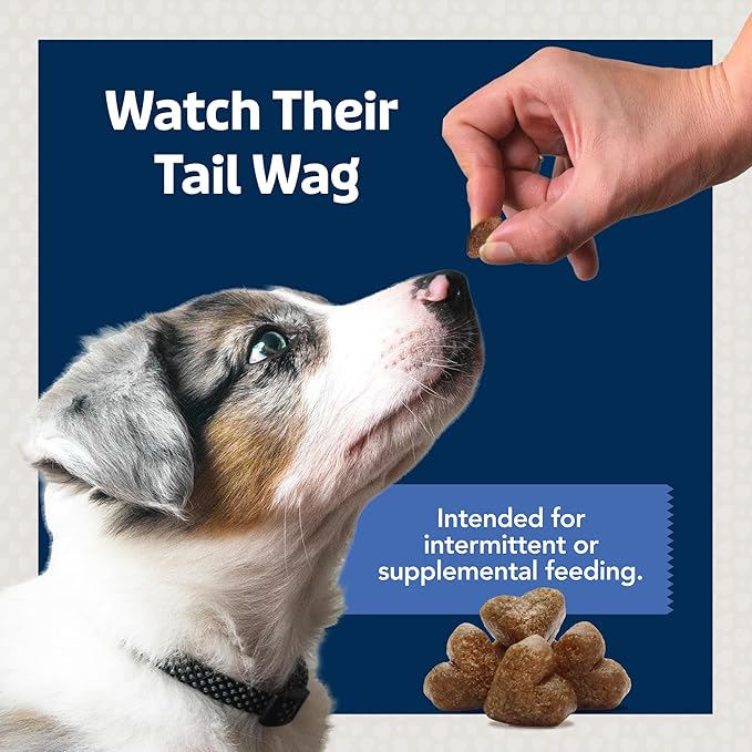 Blue Buffalo Bits Soft Dog Treats for Training, Made With Natural Ingredients & Enhanced with DHA, Chicken & Beef 19-oz Variety Pack, 2 ct