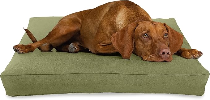 X-Small -24 x 18 x 4 - Cactus Premium Organic Hemp Dog Bed - Organic Latex Fill - Removeable Cover