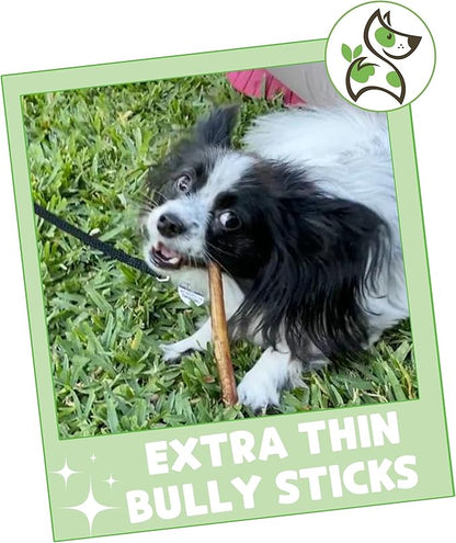 Nature Gnaws Extra Thin Bully Sticks for Small Dogs 5-6" (25 Count) - Long Lasting for Light Chewers and Puppies - Natural Beef Dog Chew Bones