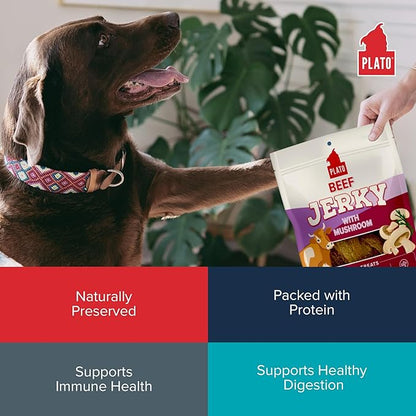 PLATO Pet Treats Jerky Dog Treats - Air-Dried Jerky for Dogs - Delicious, Real Meat Dog Treats - Grain Free - Supports Healthy Digestion - Beef Jerky with Mushroom 7oz