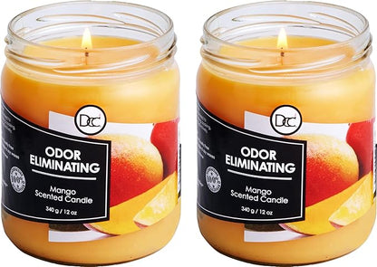Mango Two Pack Odor Eliminating Highly Fragranced Candle - Eliminates 95% of Pet, Smoke, Food, and Other Smells Quickly - Up to 80 Hour Burn time - 12 Ounce Premium Soy Blend