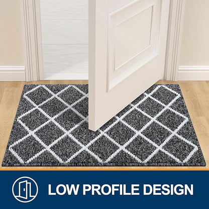Finchitty Indoor Door Mat, Dirt Resistant and Absorbent, Low-Profile, Non-Slip, Washable Inside Floor Mats for Front Door, Back, and Entrance, 47" x 20", Black