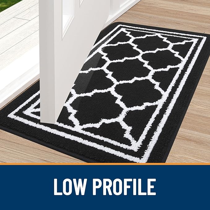 Buganda Indoor Door Mat, Dirt-Resistant and Absorbent Doormat, Anti-Slip, Low Profile Floor Mats for Inside Entryway, Front, and Back Door Entrance (48x32 Inches, Black)