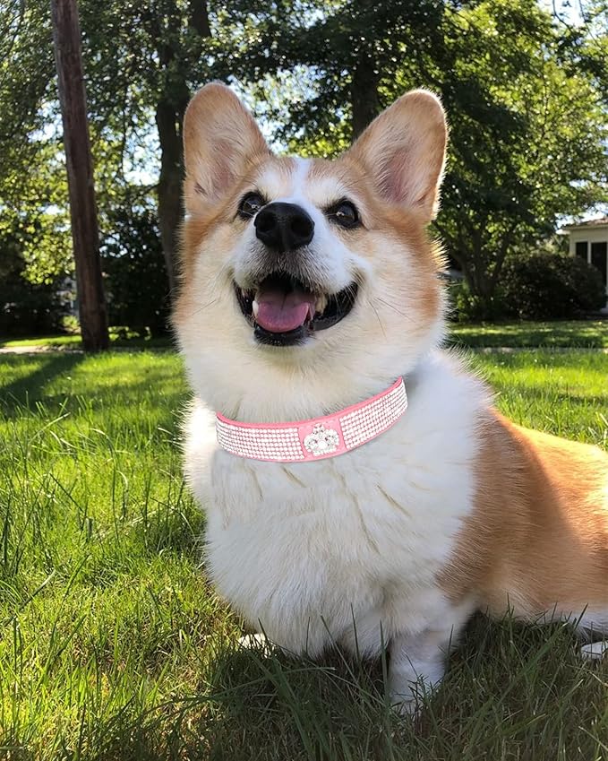 Bling Dog Collar for Small Medium Large Dogs, Crown Rhinestone Dog Collars for Girl and boy Dog, Diamond Puppy Collars, Adjustable Leather Suede SOFE Cat Collar (XS(8.2"-10.6"/21CM-27CM), Pink)