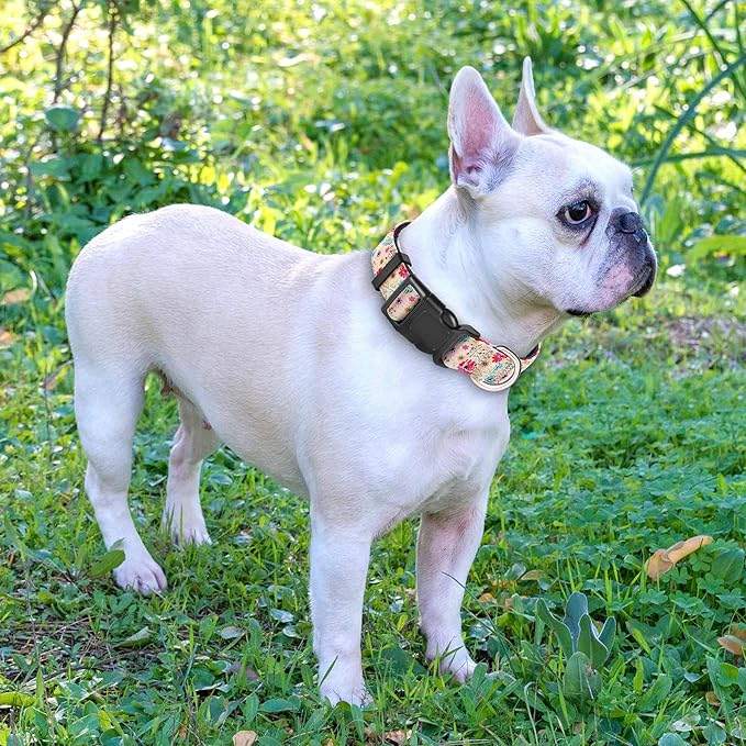 Reflective Dog Collar Padded with Soft Neoprene Breathable Adjustable Nylon Dog Collars for Small Medium Large Dogs (Medium (Pack of 1), Vanila/Pink Floral Collar+Leash)