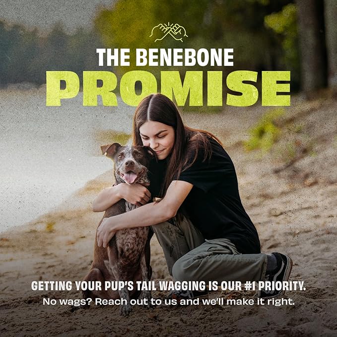 Benebone Natural Rubber Cone Interactive Enrichment Treat Dispensing Dog Toy - Slow Feeder - Great for Meals and Boredom