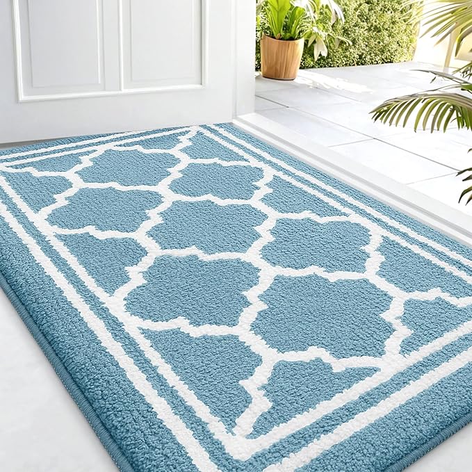 Buganda Indoor Door Mat, Dirt-Resistant and Absorbent Doormat, Anti-Slip, Low Profile Floor Mats for Inside Entryway, Front, and Back Door Entrance (32x20 Inches, Lake Blue)