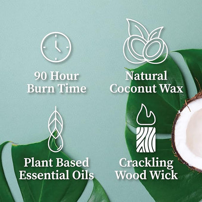 Hemlock Park Crackling Wood Wick Candle Handcrafted with Natural Coconut Wax (Large 16 oz, Scarlet Rose)