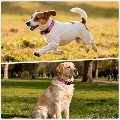 Reflective Dog Collar with Quick Release Buckle - Metal Ring - Adjustable Soft Neoprene Padded Basic Dog Collar for Small Medium Large Dogs (Hotpink, Small :Width 1",Neck 11.8-15.7")
