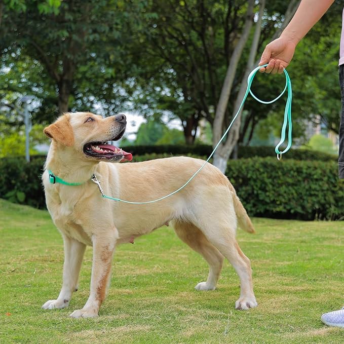 Waterproof Dog Collar, Easy to Clean Rubber Dog Collars with Quick Release Buckle Fits Small Medium or Large Dogs (Mint Green, S < 9.5-14.1 inch)