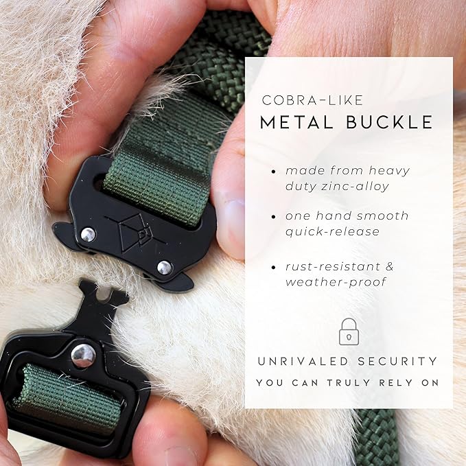 Made to ROAM Premium Dog Collar - Adjustable Heavy Duty Nylon Collar with Quick-Release Metal Buckle (Carolina Blooms, Classic Size 2.5)
