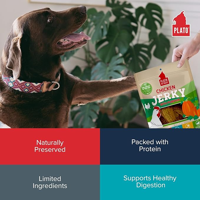 PLATO Pet Treats Jerky Dog Treats - Air-Dried Jerky for Dogs - Delicious, Real Meat Dog Treats - Grain Free - Supports Healthy Digestion - Chicken Jerky with Pumpkin 16oz