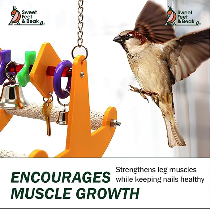 Sweet Feet & Beak Tweeter Totter Rocker - Perfect Cage Toy Stimulates Visual and Physical Activity - Safe, Non-Toxic, Cage Accessories for Birds