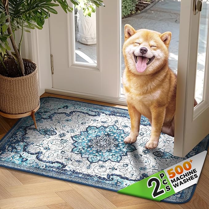 Hompet 2 Pack Super Absorbent Dog Door Mat for Muddy Paws, Washable Pee Pads for Dogs, Reusable Puppy Training Pads, Quick Dry Non-Slip Pet Entryway Rug, Leak-Proof Potty Pad for Indoor Floors 24x35