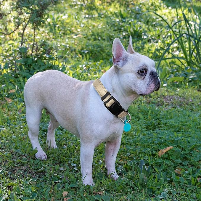 Reflective Dog Collar Padded with Soft Neoprene Breathable Adjustable Nylon Dog Collars for Small Medium Large Dogs (Medium (Pack of 1), Vanilla Collar+Leash)