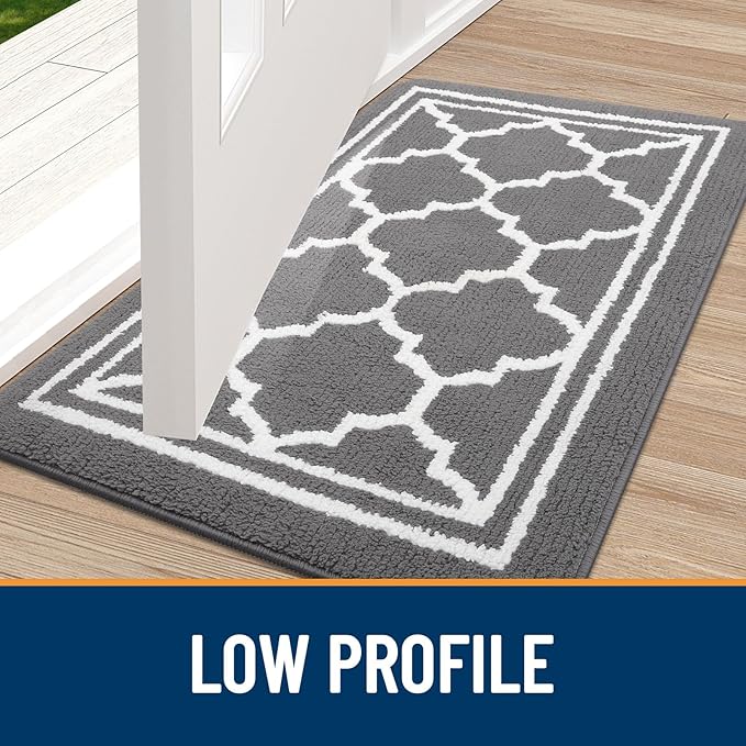 Buganda Indoor Door Mat, Dirt-Resistant and Absorbent Doormat, Anti-Slip, Low Profile Floor Mats for Inside Entryway, Front, and Back Door Entrance (48x32 Inches, Grey)
