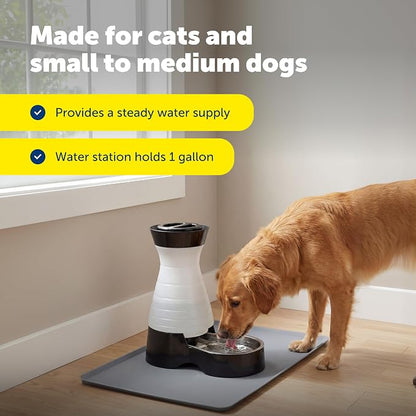 PetSafe Healthy Pet Food & Water Station, Medium, 2-Pack Filters | Gravity Food & Water Station, 4 lb food, 128 oz Water, Dishwasher-Safe Stainless Bowl, Extra Filters