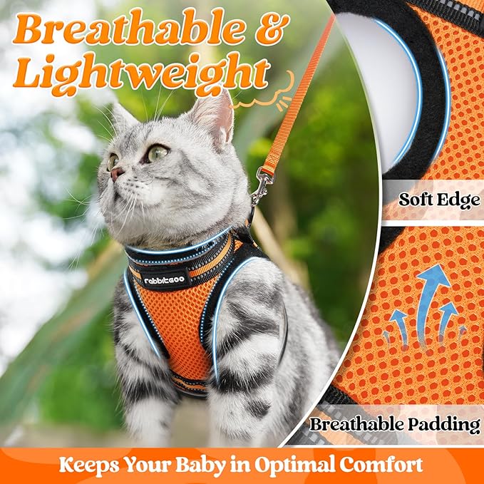 rabbitgoo Cat Harness and Leash Set for Walking Escape Proof, Adjustable Soft Kittens Vest with Reflective Strip for Cats, Comfortable Outdoor Vest,Light Orange,L