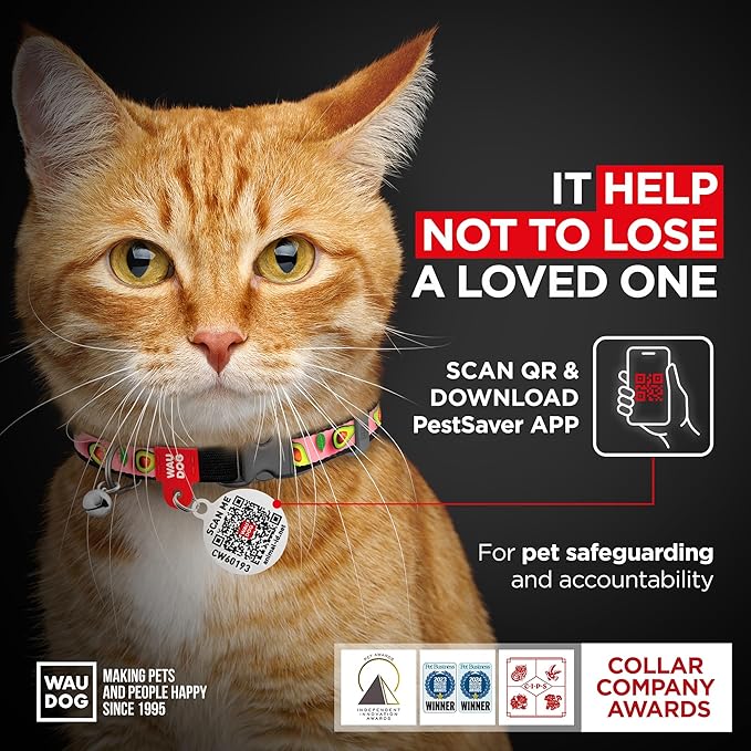WAUDOG Nylon Cat Collar with Removable Bell and QR ID Tag for Small, Medium and Large Breeds Adjustable Long Lasting Durable Kitten Collars Boy & Girl