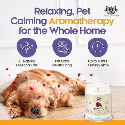 Pet Odor Eliminator Candle Balancing Rose Scented Candle, Calming Candles Aromatherapy for Home Decor, Soy Wax Pet Candles Odor Eliminator for Animal Lover, Aromatherapy by Gerrard Larriett