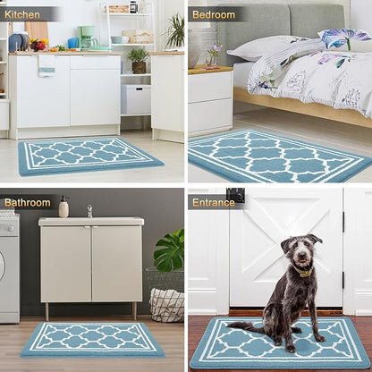 Buganda Indoor Door Mat, Dirt-Resistant and Absorbent Doormat, Anti-Slip, Low Profile Floor Mats for Inside Entryway, Front, and Back Door Entrance (32x20 Inches, Lake Blue)