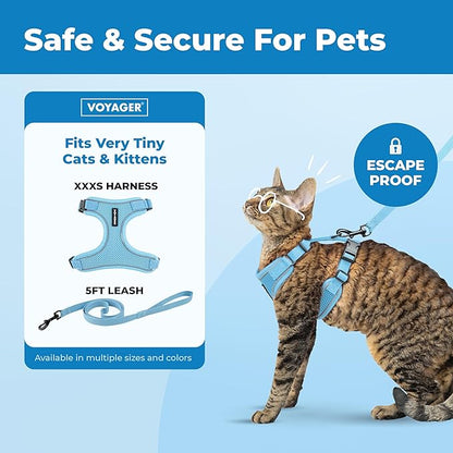 Voyager Escape Proof Cat Harness and Leash Set with Reflective Stitching, Neoprene Handle 5ft - Supports Small, Medium and Large Cats, Kittens for Walking by Best Pet Supplies - Baby Blue, XXXS