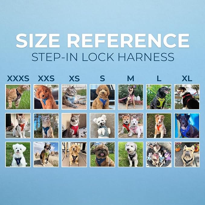Voyager Step-in Pet Harness - All Weather Mesh, Adjustable Step in Harness for Cats and Dogs by Best Pet Supplies - Pink, M