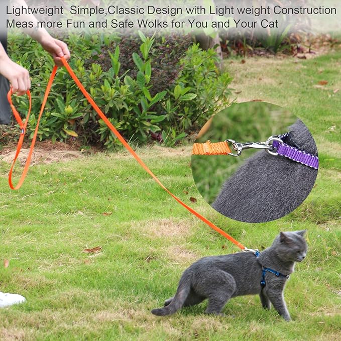 AMAGOOD 6 FT Cat Leashes, Strong Traditional Style Leash with Easy to Use Collar Hook,Cat Lead Great for Cats (3/8 in x 6 ft(Pack of 1), Orange)