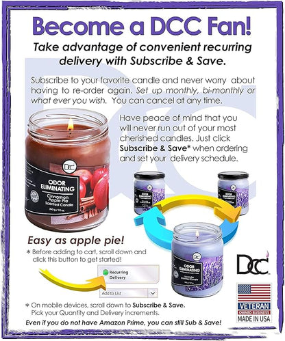 Cranberry Punch Odor Eliminating Highly Fragranced Candle - Eliminates 95% of Pet, Smoke, Food, and Other Smells Quickly - Up to 80 Hour Burn time - 12 Ounce Premium Soy Blend